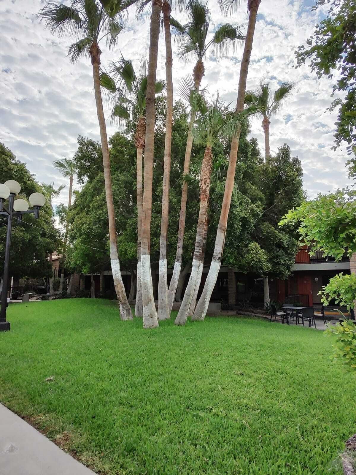 Hotel Colonial Mexicali Bagian luar foto